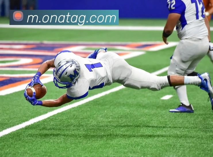 ag百家乐平台生态图